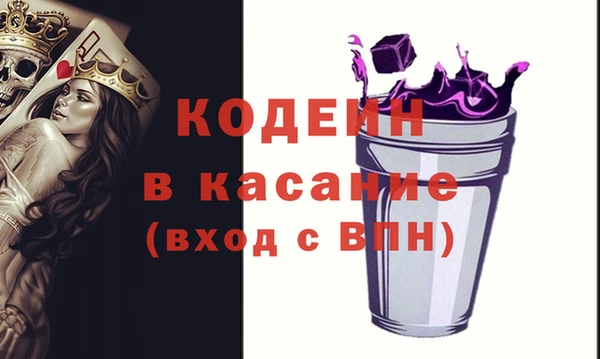 сатива Сатка