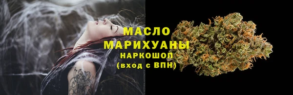 сатива Сатка