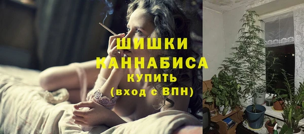 сатива Сатка