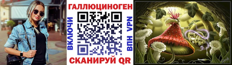 Галлюциногенные грибы Psilocybine cubensis  Зеленогорск 