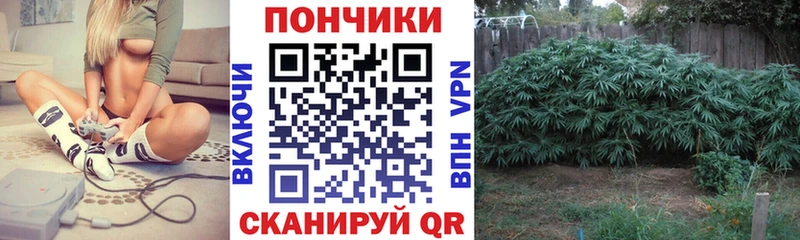 МАРИХУАНА ГИДРОПОН  blacksprut ссылки  Зеленогорск 